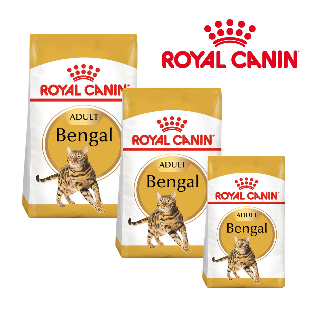 Royal Canin Bengal Cat Food