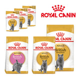 Royal Canin British Shorthair Cat Food – Breed Nutrition