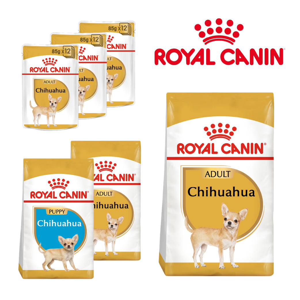 Royal Canin Chihuahua Dog Food | Adult, Junior & Wet