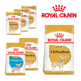 Royal Canin Chihuahua Dog Food | Adult, Junior & Wet