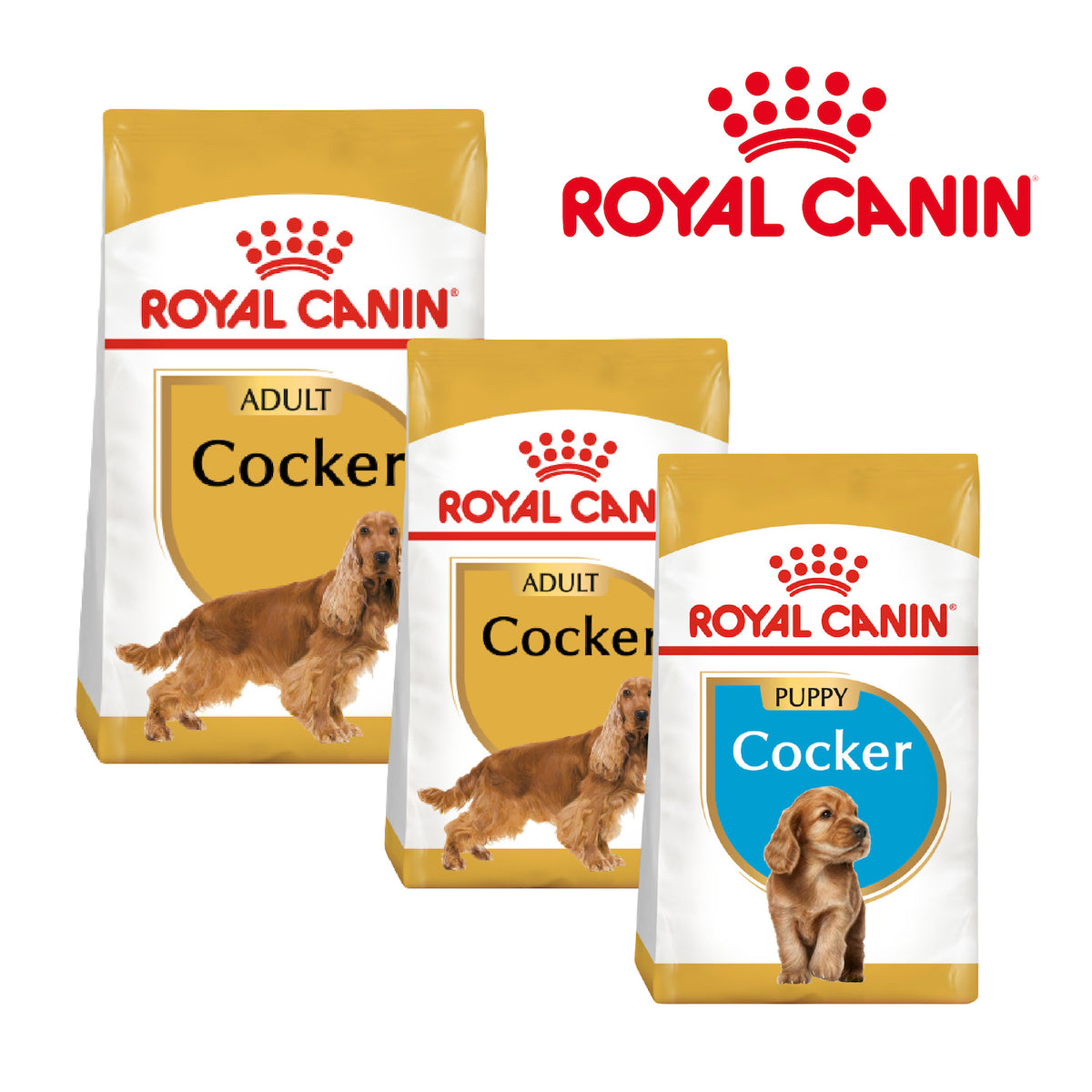 Royal Canin Cocker Spaniel Dog Food – Breed Nutrition