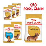 Royal Canin Dachshund Dog Food | Adult, Puppy & Wet