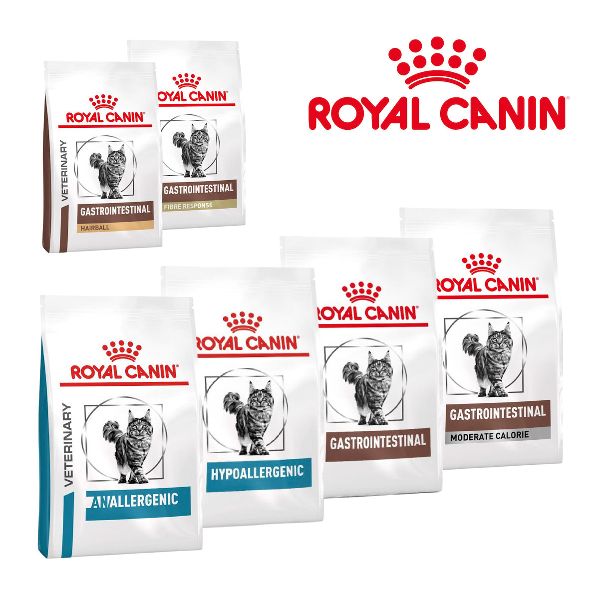 Royal Canin Digestive & Allergy Dry Cat Food