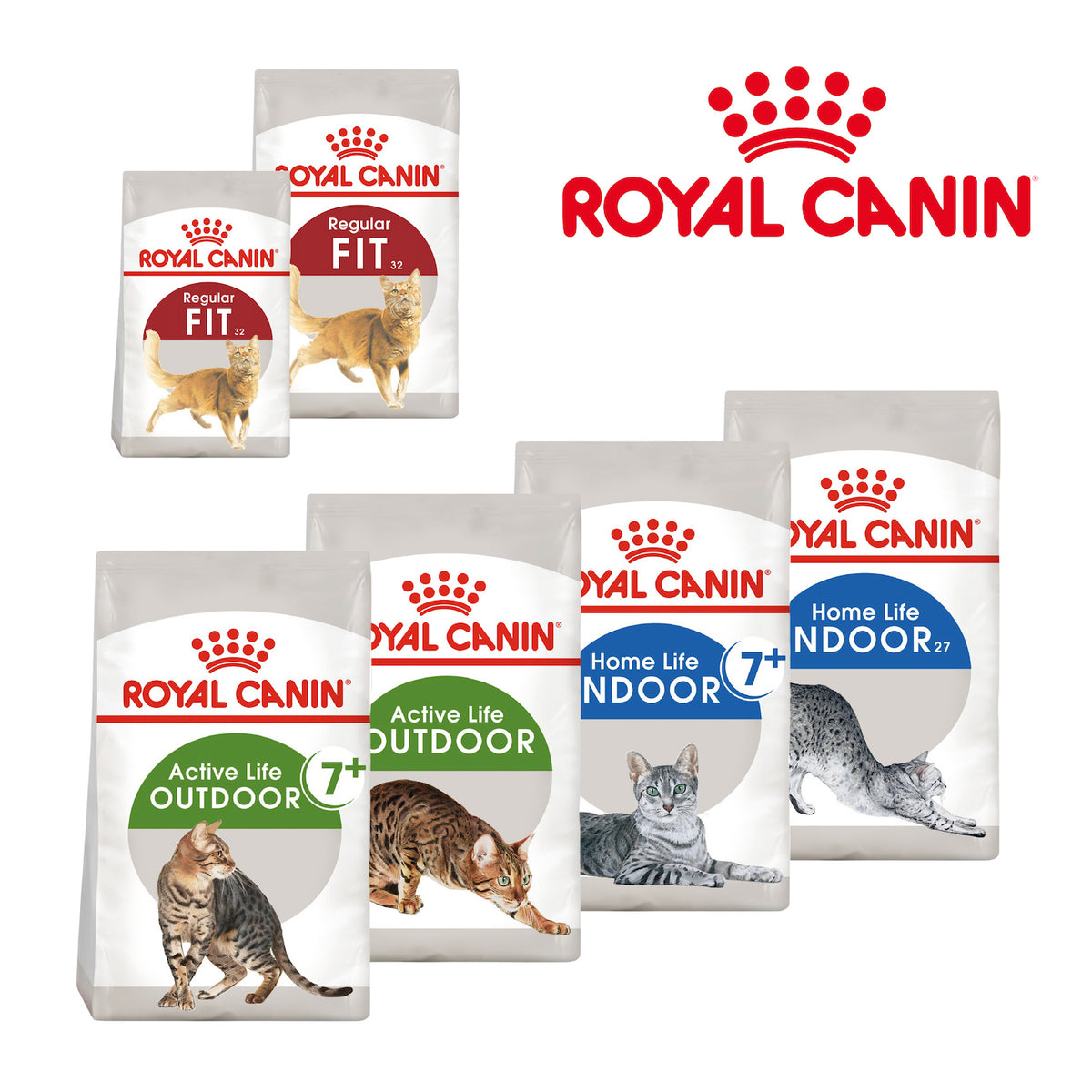 Royal Canin Everyday Dry Cat Food