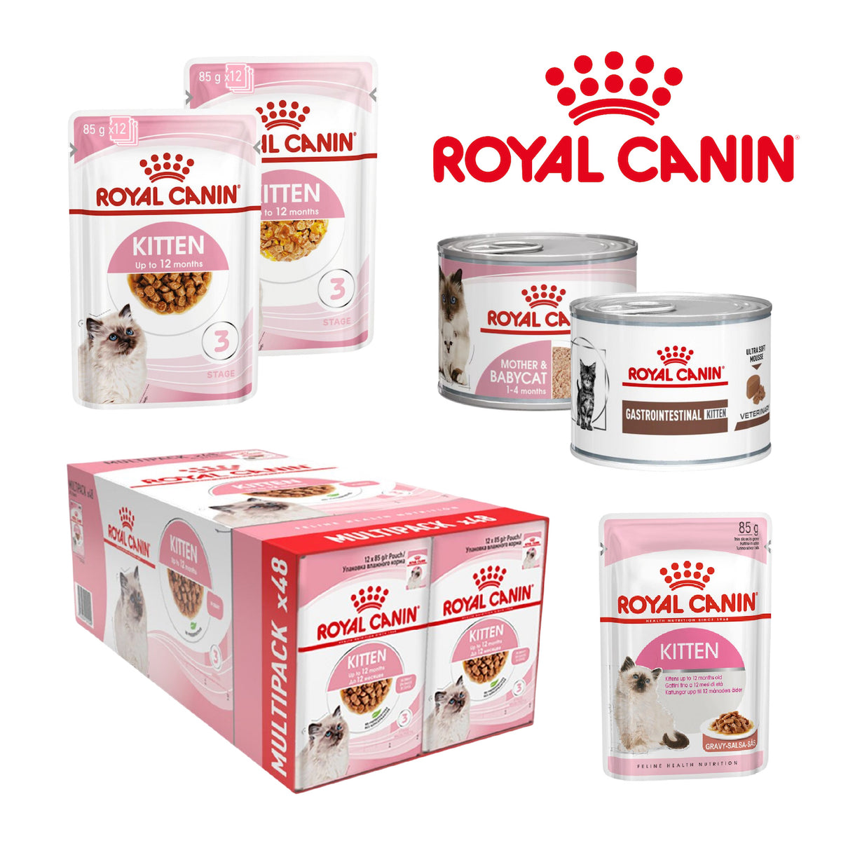Royal Canin Kitten Wet Cat Food