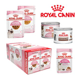 Royal Canin Kitten Wet Cat Food