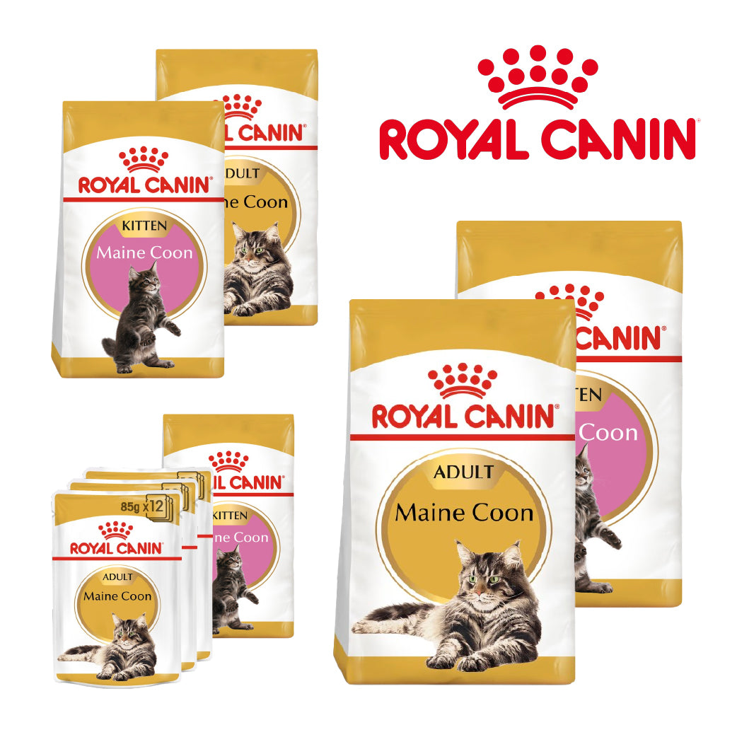 Royal Canin Maine Coon Cat Food | Adult, Kitten & Wet
