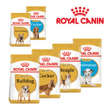 Royal Canin Medium Breed Dry Dog Food