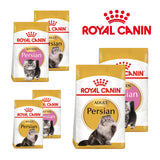 Royal Canin Persian Cat Food | Adult & Kitten