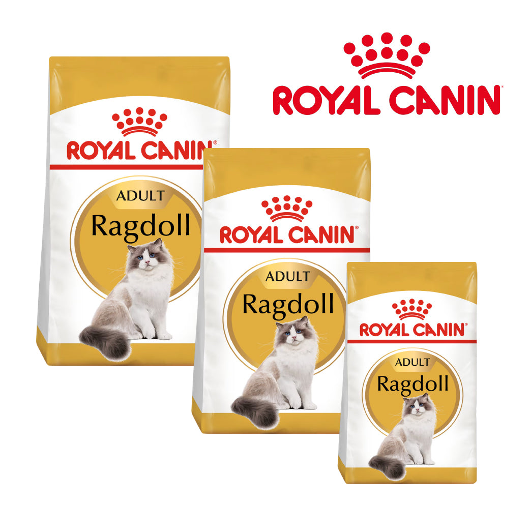 Royal Canin Ragdoll Cat Food