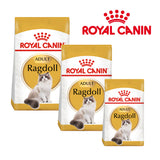 Royal Canin Ragdoll Cat Food
