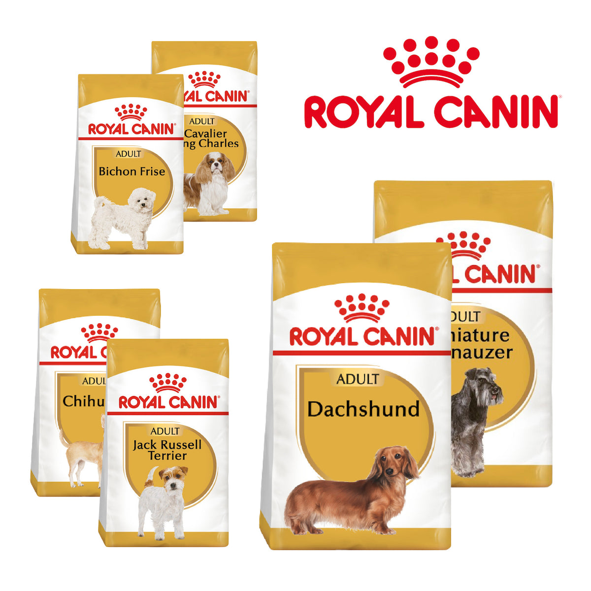 Royal Canin Small Breed Dry Dog Food
