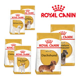 Royal Canin Small Breed Dry Dog Food