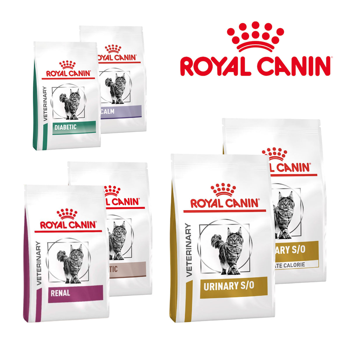 Royal Canin Renal Urinary Dry Cat Food