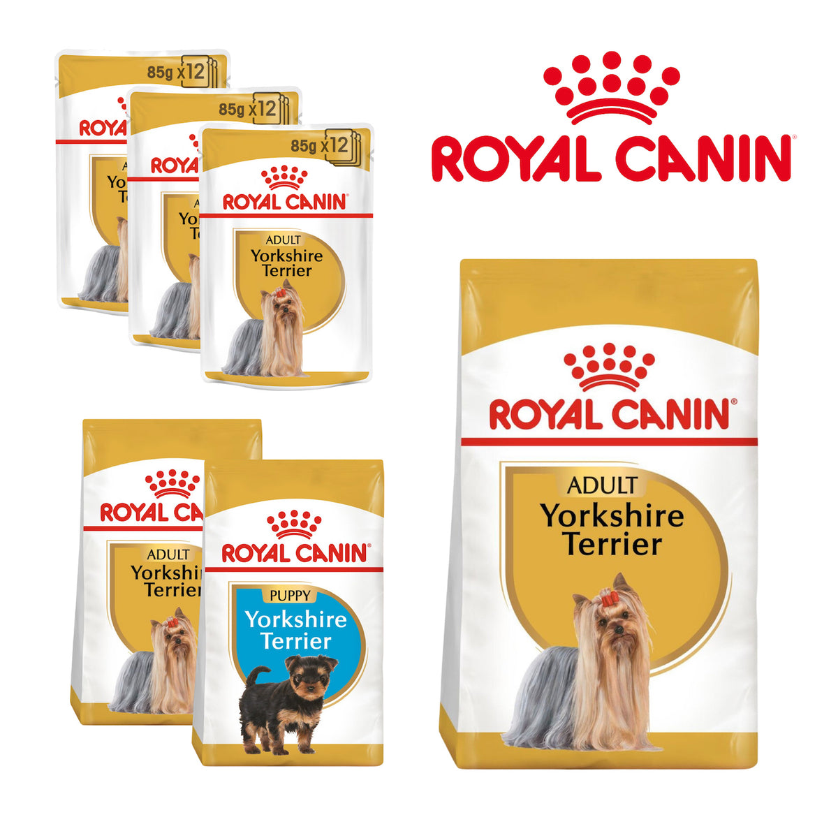 Royal Canin Yorkshire Terrier Dog Food – Breed Nutrition