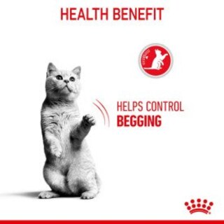 Royal Canin Adult Appetite Control Care Dry Cat Food - 400g