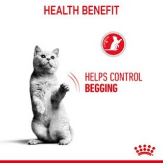 Royal Canin Adult Appetite Control Wet Cat Food Pouches in Gravy - 12 x 85g