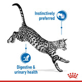 Royal Canin Indoor Sterilised In Gravy Adult Wet Cat Food Pouches - 12 x 85g