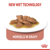 Royal Canin Indoor Sterilised In Gravy Adult Wet Cat Food Pouches - 12 x 85g