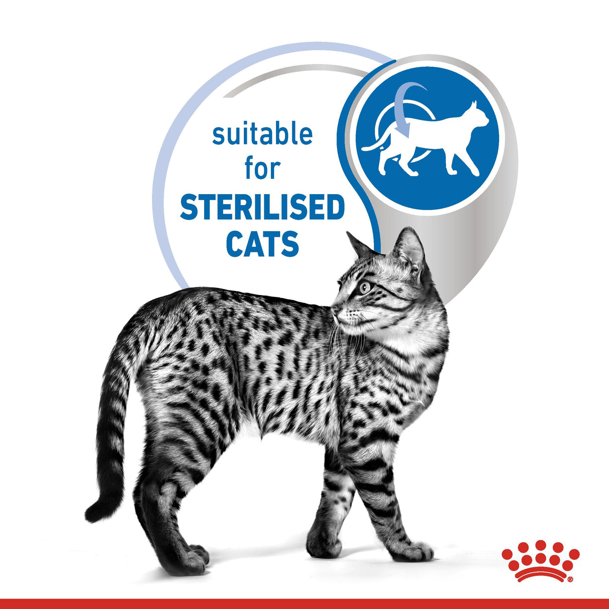 Royal Canin Indoor Sterilised In Jelly Adult Wet Cat Food Pouches - 12 x 85g