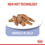 Royal Canin Indoor Sterilised In Jelly Adult Wet Cat Food Pouches - 12 x 85g