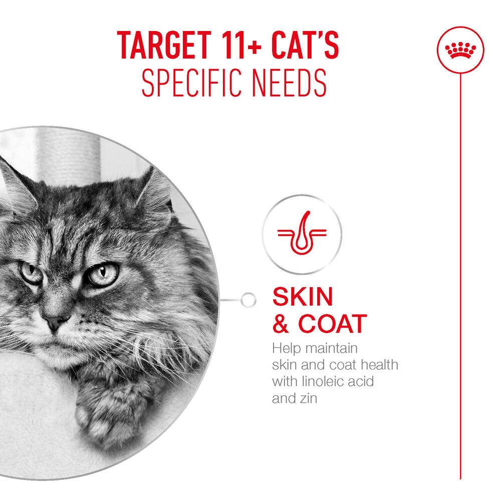 Royal Canin Ageing 11+ Cat Wet Food Ultra Soft Mousse Can 12 x 85g