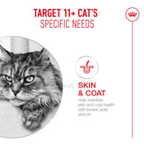 Royal Canin Ageing 11+ Cat Wet Food Ultra Soft Mousse Can 12 x 85g