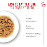 Royal Canin Ageing 11+ Senior Wet Cat Food Chunks In Gravy - 12 x 85g