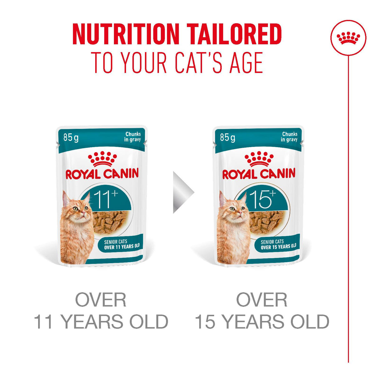 Royal Canin Ageing 11+ Senior Wet Cat Food Chunks In Gravy - 48 x 85g