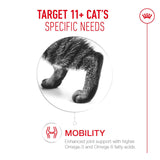 Royal Canin Ageing 11+ Senior Wet Cat Food Chunks In Jelly - 12 x 85g