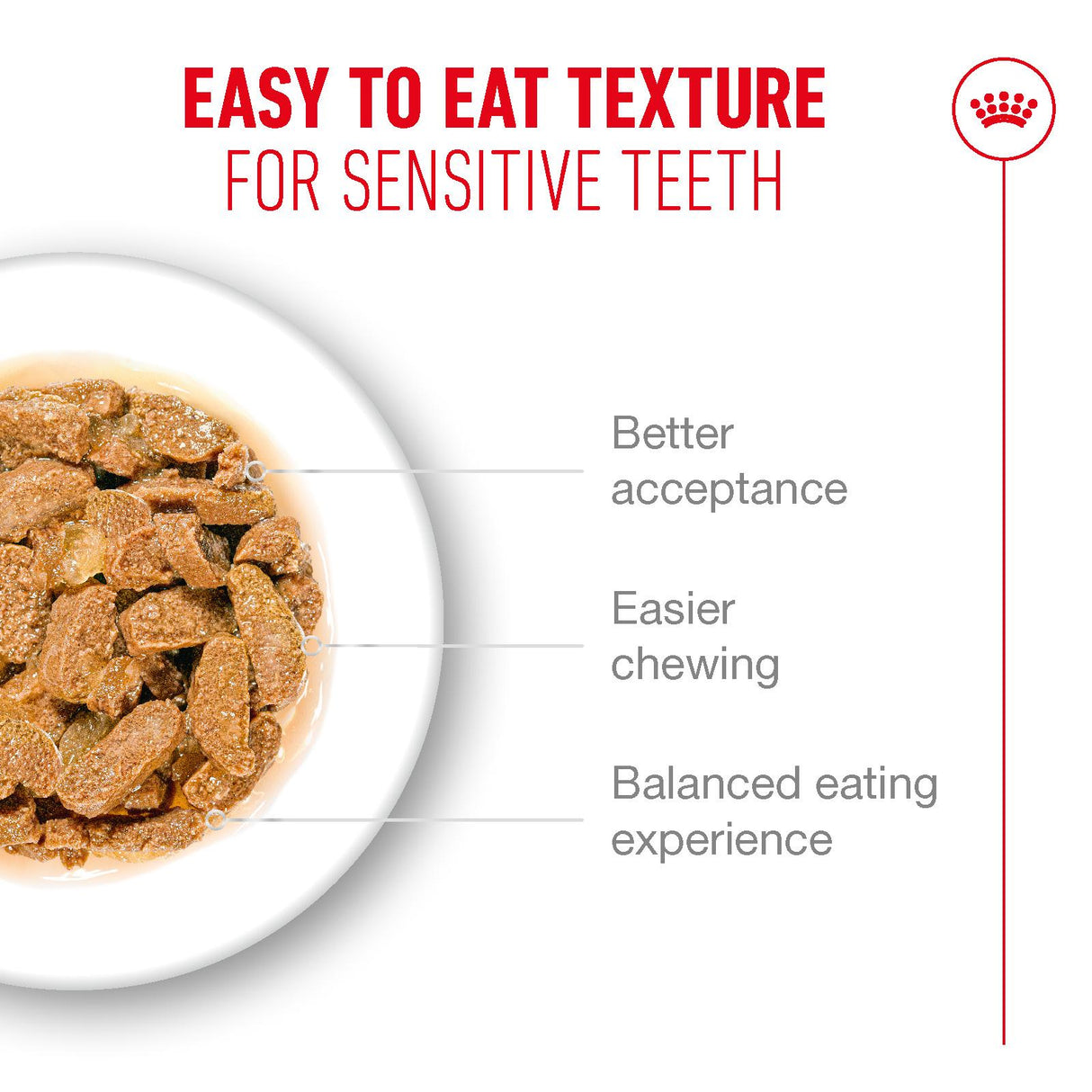 Royal Canin Ageing 11+ Senior Wet Cat Food Chunks In Jelly - 12 x 85g