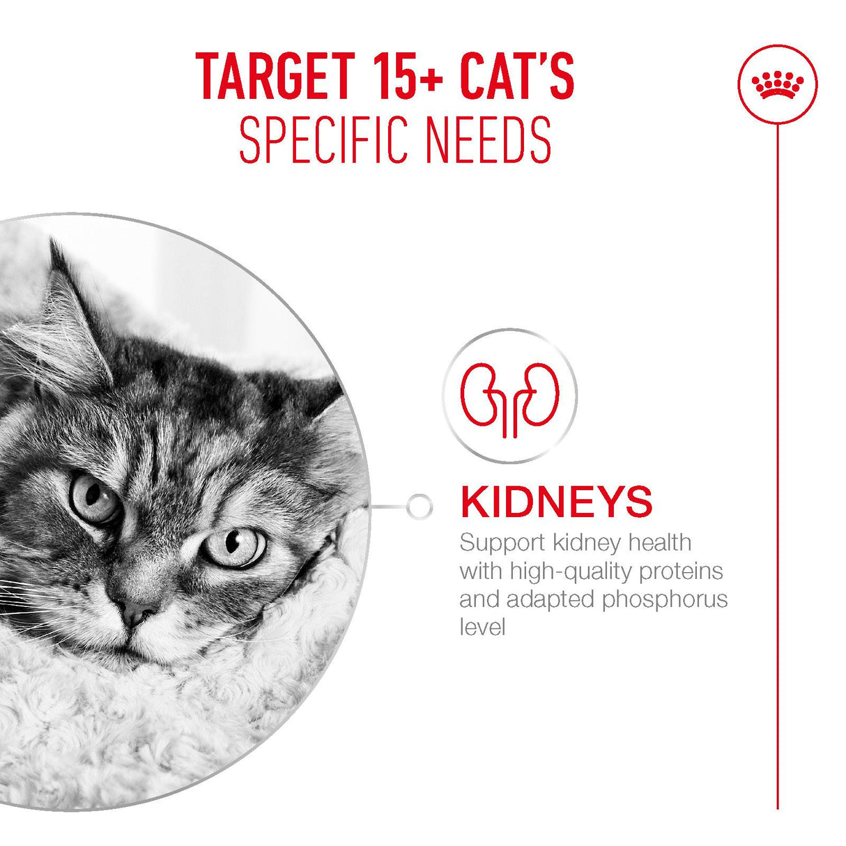 Royal Canin Ageing 15+ Senior Dry Cat Food - 2kg