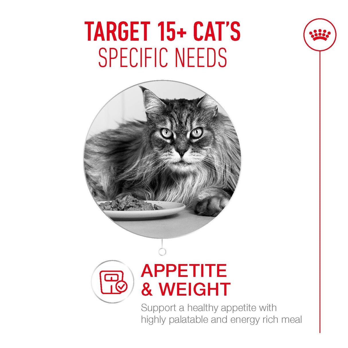 Royal Canin Ageing 15+ Senior Dry Cat Food - 400g