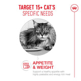 Royal Canin Ageing 15+ Senior Wet Cat Food Chunks In Gravy - 12 x 85g