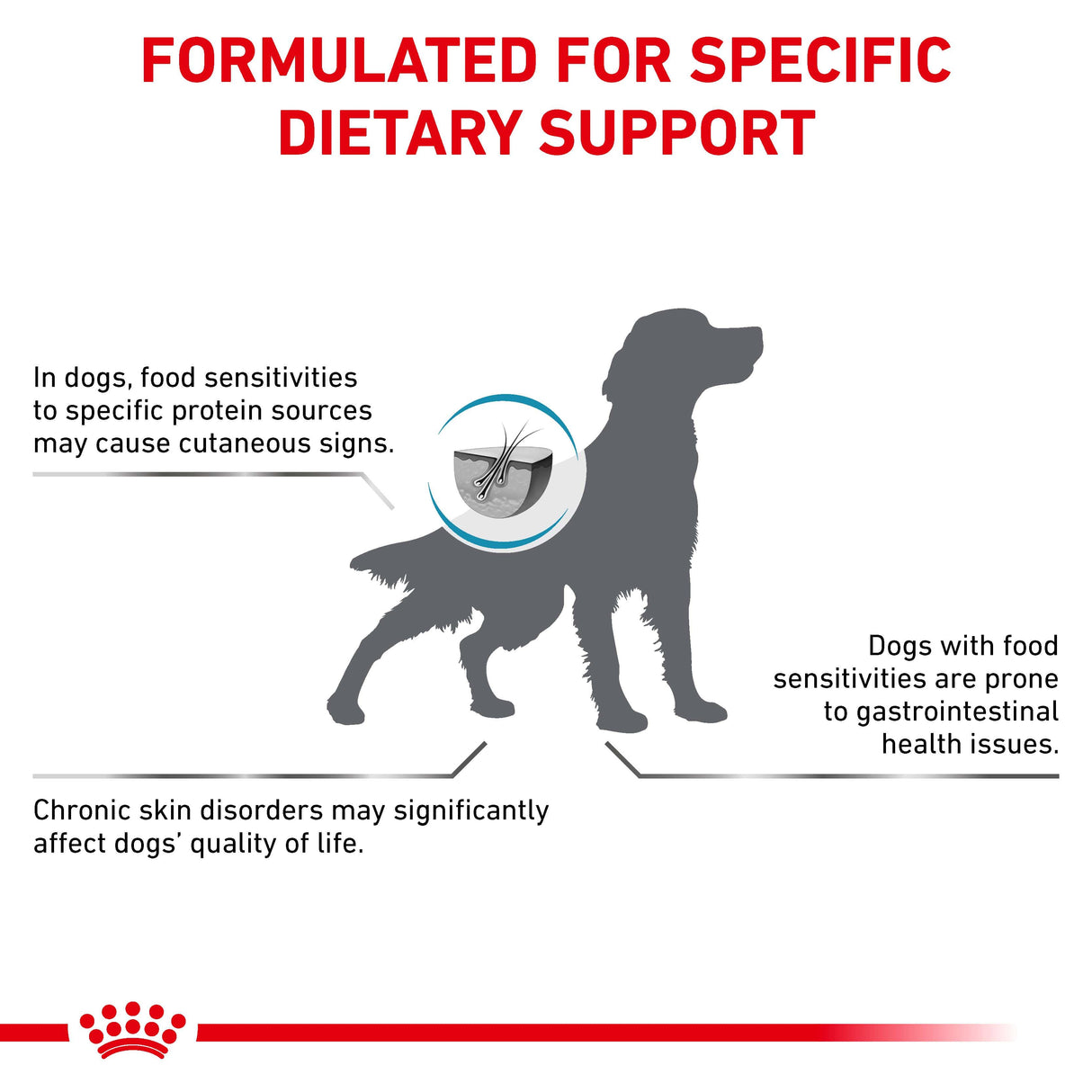Royal Canin Anallergenic Adult Dry Dog Food - 8kg