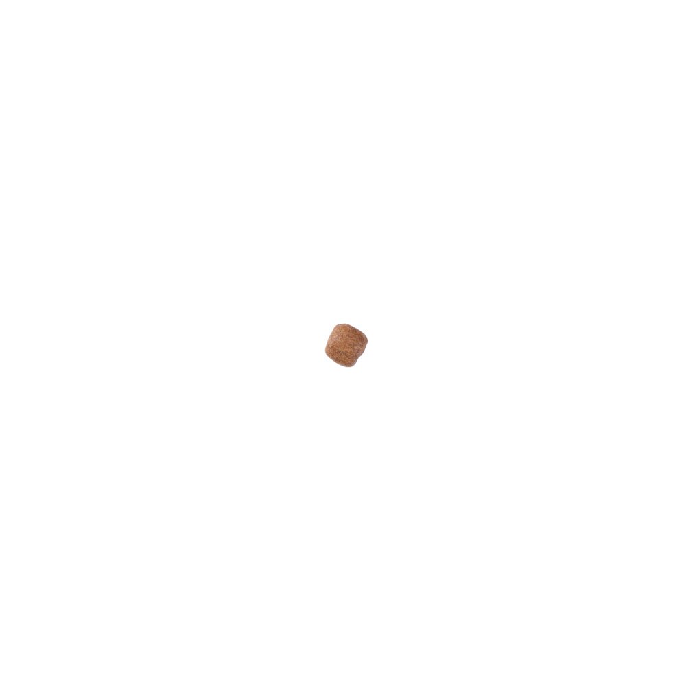 Royal Canin Canine Dental Small Breed Dry Dog Food - 3.5Kg
