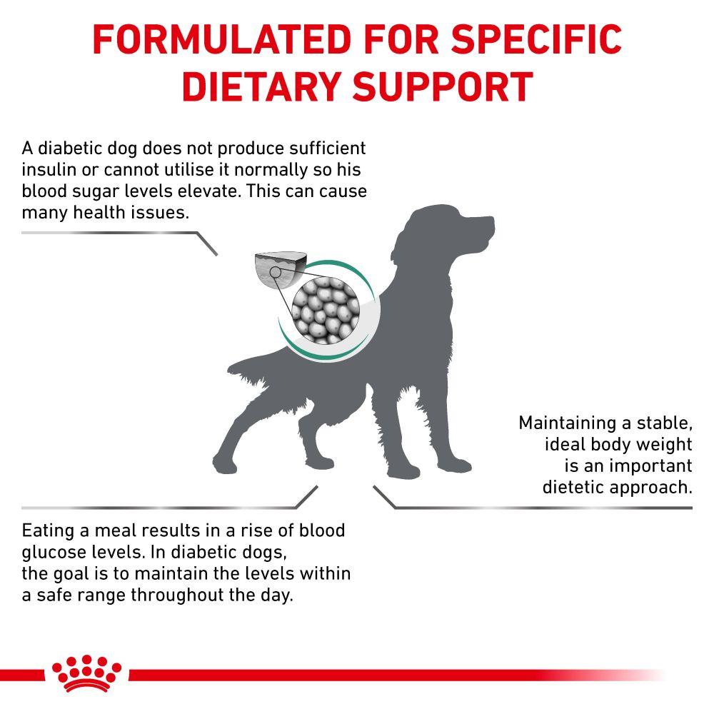 Royal Canin Diabetic Adult Dry Dog Food - 7kg