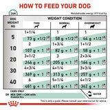Royal Canin Diabetic Special Low Carbohydrate Loaf Adult Wet Dog Food Tins - 12 x 410g