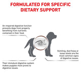 Royal Canin Gastrointestinal Puppy Dry Dog Food - 10kg