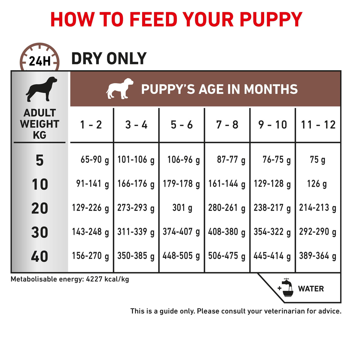 Royal Canin Gastrointestinal Puppy Dry Dog Food - 10kg