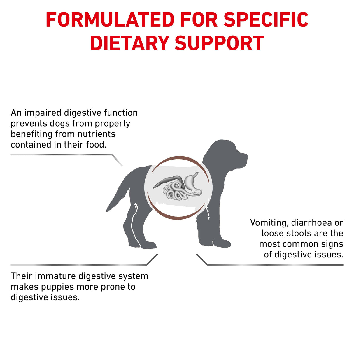 Royal Canin Gastrointestinal Puppy Dry Dog Food - 1kg