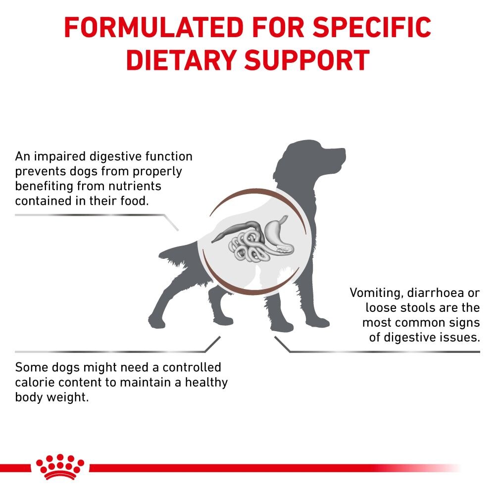 Royal Canin Gastrointestinal Moderate Calorie Adult Dry Dog Food - 15Kg