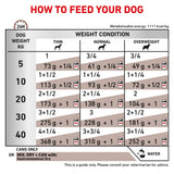 Royal Canin Canine Gastro Intestinal Wet Dog Food Tins - 12 x 400g