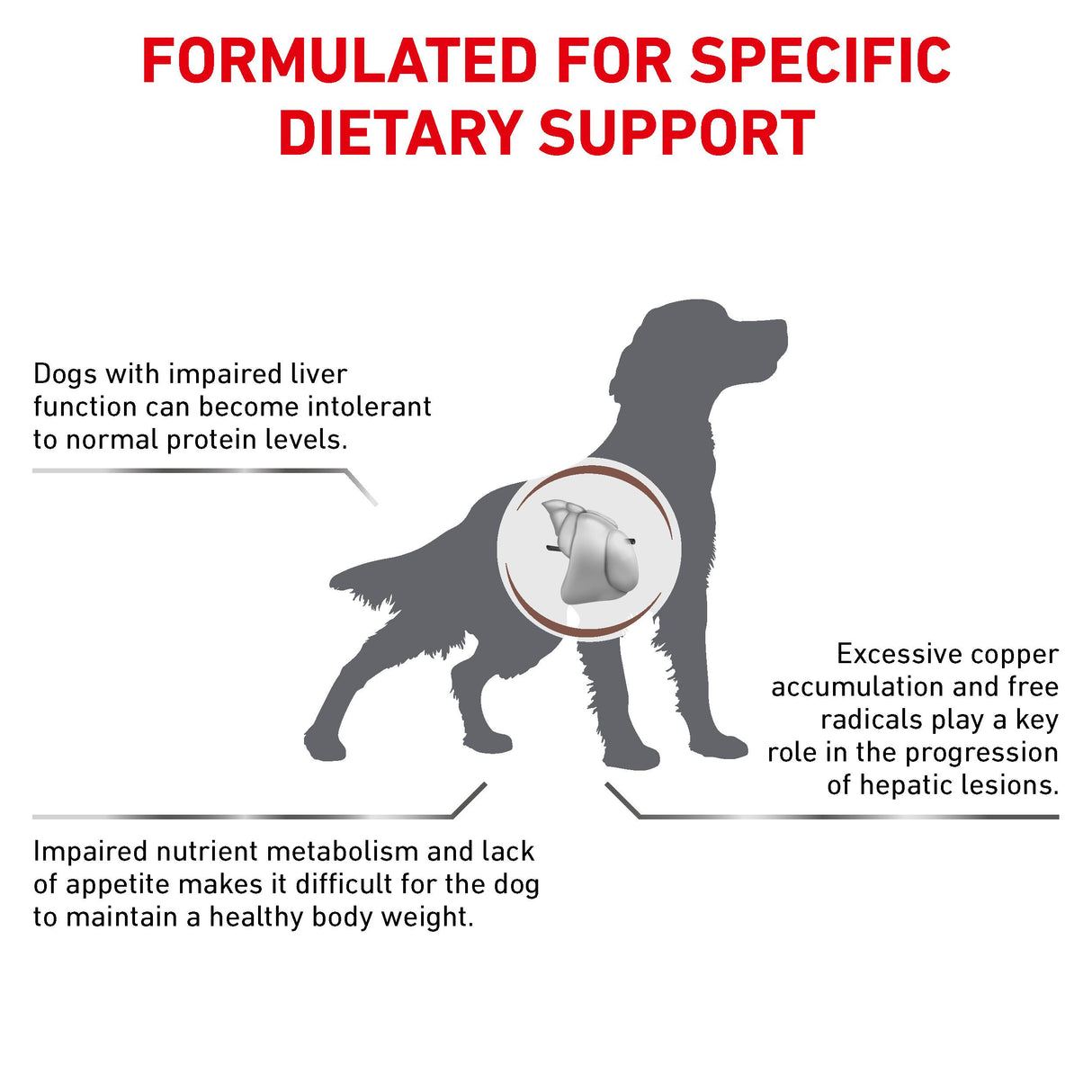 Royal Canin Hepatic Adult Dry Dog Food - 7kg
