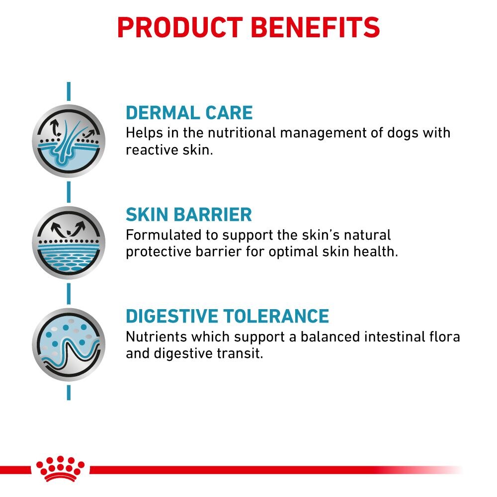 Royal Canin Skin Care Adult Dog Dry Food- 11Kg
