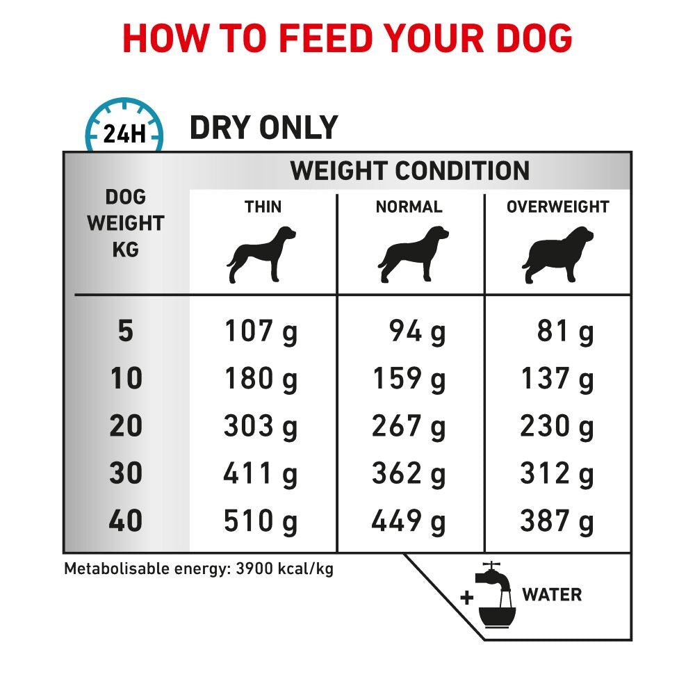 Royal Canin Skin Care Adult Dog Dry Food- 11Kg