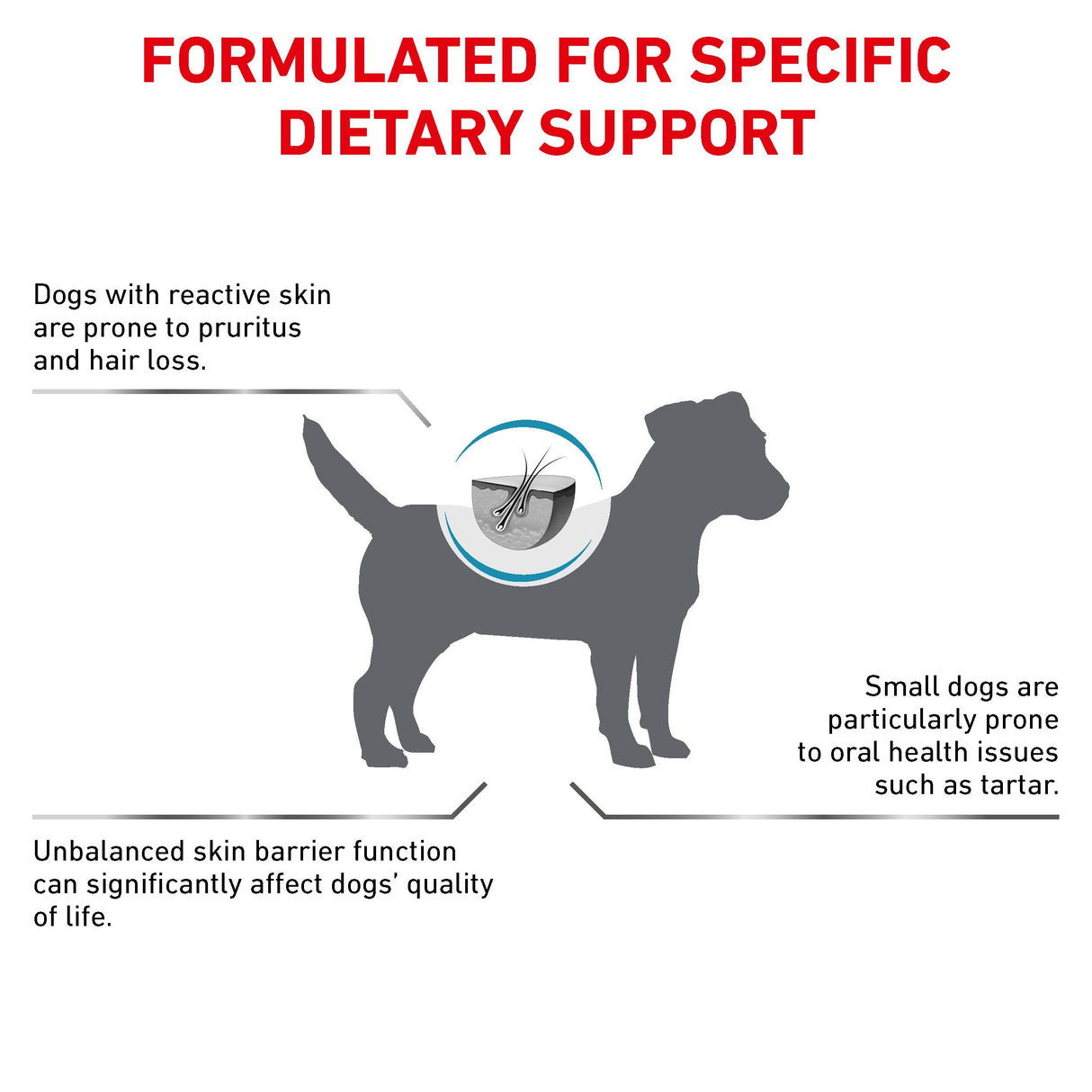 Royal Canin Skin Care Small Dog Adult Dry Dog Food - 4kg