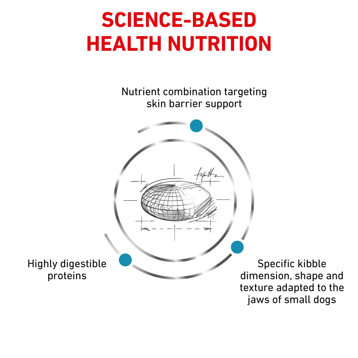 Royal Canin Skin Care Small Dog Adult Dry Dog Food - 4kg