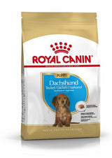 Royal Canin Small Breed Dry Dog Food