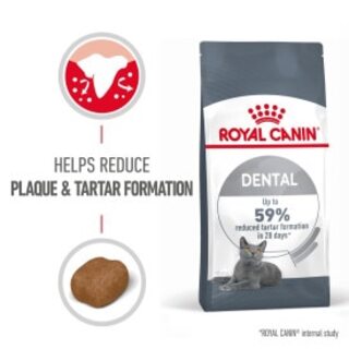 Royal Canin Dental Care Dry Adult Cat Food - 3.5kg